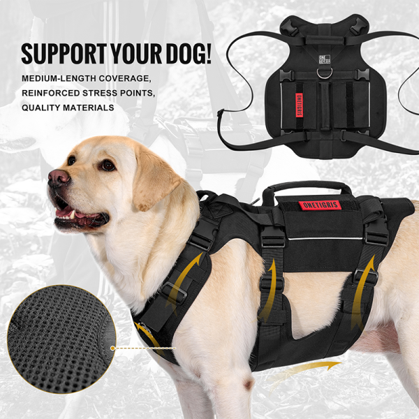 ONETIGRIS GUIDER Support Harness