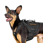 ONETIGRIS TORPEDO Tactical Harness-Accessories-ONETIGRIS-TacSource